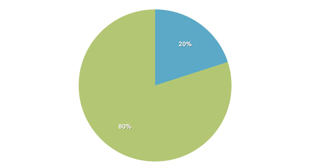 Il principio di Pareto applicato alla Chirurgia Plastica