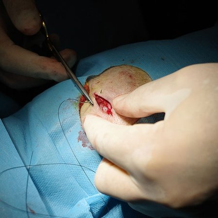 foto e video per studi medici